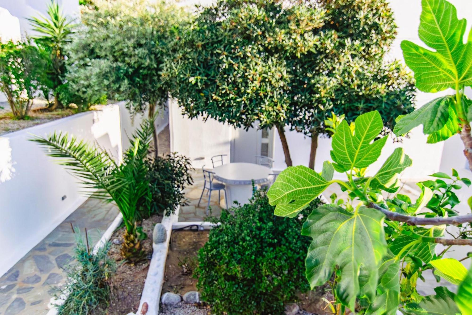 Zisis Pension Agios Stefanos  Exteriör bild